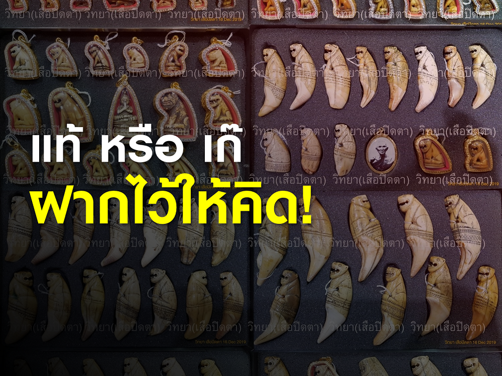 ฝากไว้ให้คิด พระเก๊ หรือ พระแท้ : โดย วิทยา เสือปิดตา