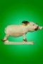 พญาหมูป่าเขี้ยวทองคำ ปี2541 หายากมาก